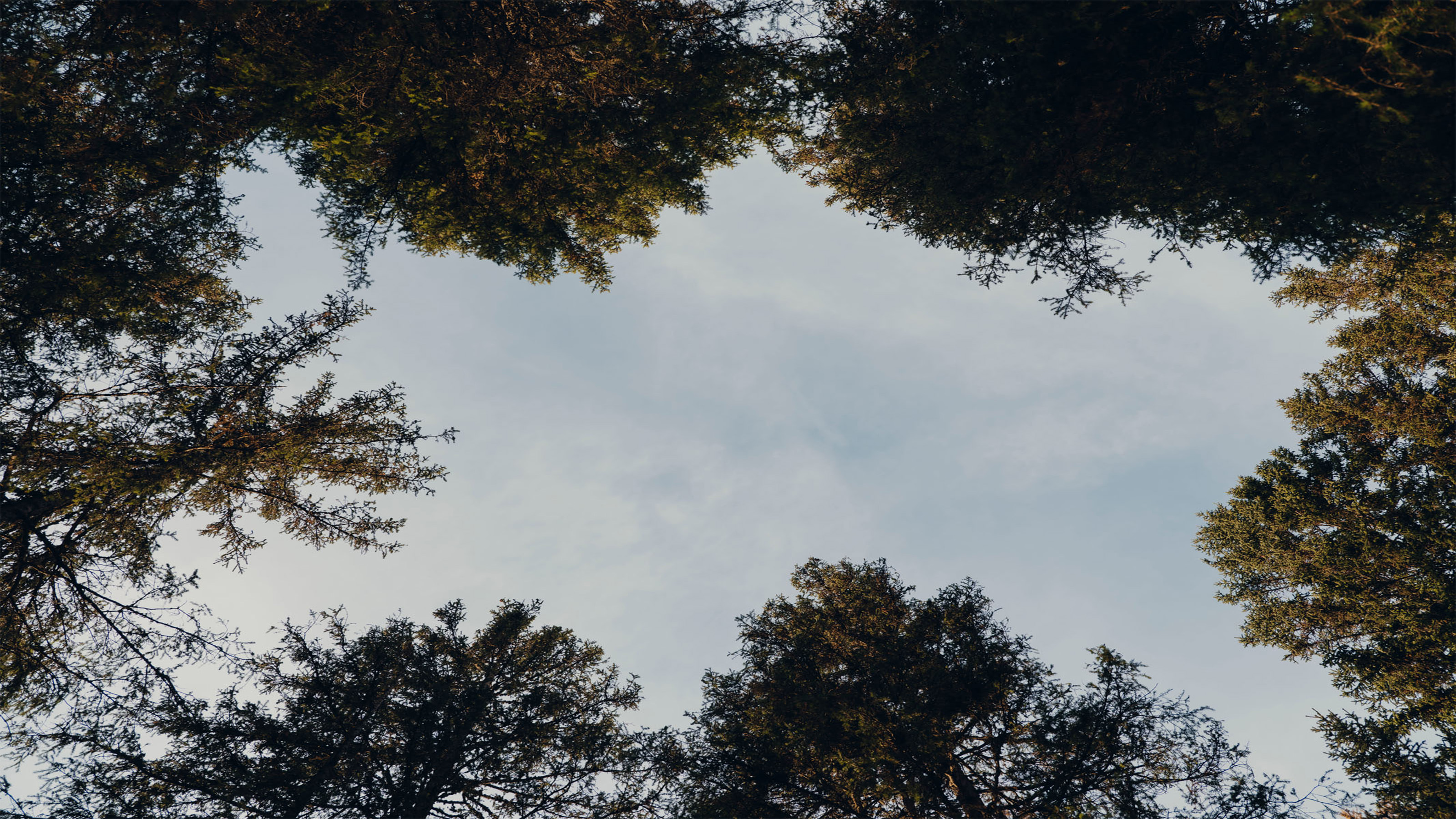 Moments of stillness